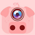 小猪相机手机版