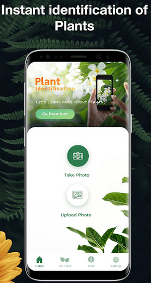 LeafSnap识别植物